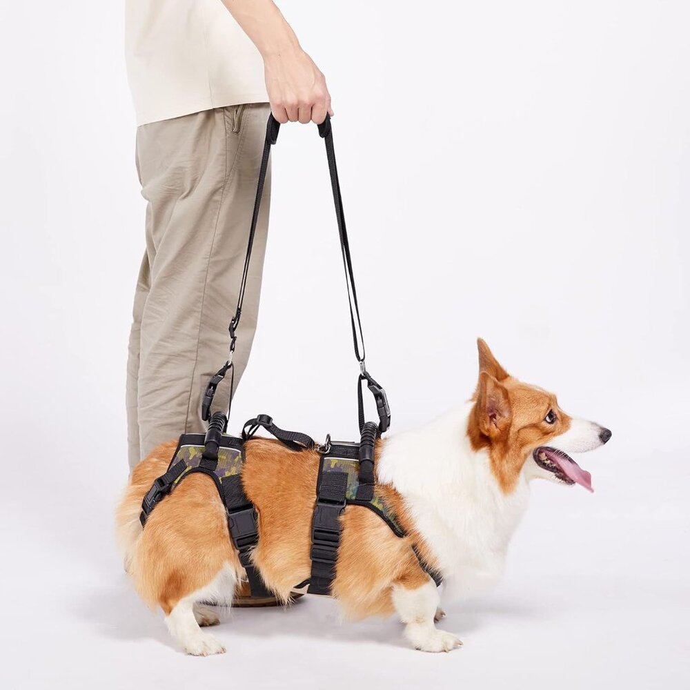 Coodeo Dog Lift Harness, Full Body Support & Recovery Sling  (Medium)